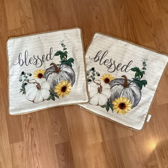 Loving Kindness Pillow Covers - BLESSED Fall Sunflower White Pumpkin Vines - Picture 1 of 4